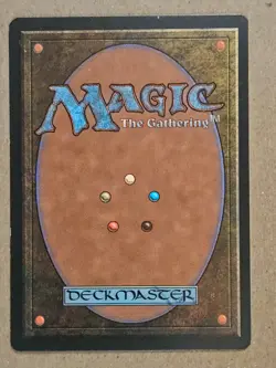 Mystic Remora - Ice Age - Near Mint | MTG - Image 2