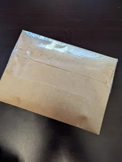 Makima Chainsaw Man Waifu Gold Metal Card Goddess Story Doujin Anime CCGLingerie - Image 5