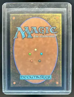 2025 Magic Secret Lair Drop X Sonic Friends & Foes Amy Rose Foil #2083 - Image 2