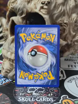 ☠☠ POKEMON Ivysaur 014/017 POP Series 3 Regular - Image 2