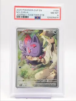 N'S ZORUA 2025 POKEMON S&V PROMO JOURNEY TOGETHER ETB #189 PSA 8 Q0004 - Image 1