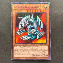 NM Blue-Eyes Toon Dragon PGB1-JP020 Millennium Rare YuGiOh 100 - Image 1