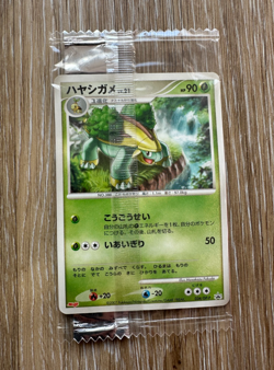 Pokemon Japanese Grotle 034/DP-P Meiji Chocolate Promo SEALED - Image 1