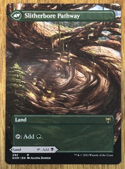 MTG Kaldheim, Darkbore Pathway / Slitherbore Pathway - Borderless - Image 2