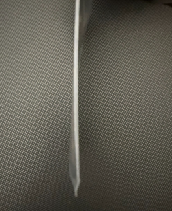 Magic The Gathering - Badgermole Cub (LP) -M0167 -TLA - Image 3