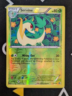 Servine 7/113 Legendary Treasures Uncommon Pokemon Card Reverse Holo MP - Image 1