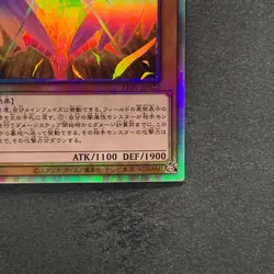 NM Dark Honest LIOV-JP022 Holographic Rare YuGiOh 230 - Image 5