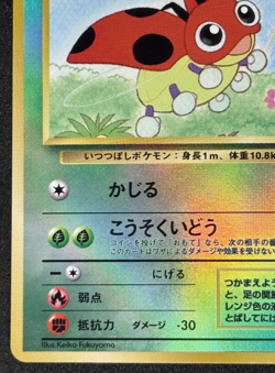 1999 Pokemon Southern Island Ledyba Reverse Holo Japanese - Image 4