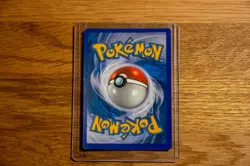 Snivy BW01 & Oshawott BW03 BW Black Star Promos Holo - English Pokemon - Image 3