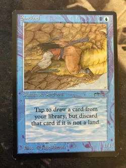 *** ARABIAN NIGHTS Sindbad *** NM-Mint! - DUTY FREE - Magic MtG - Image 1