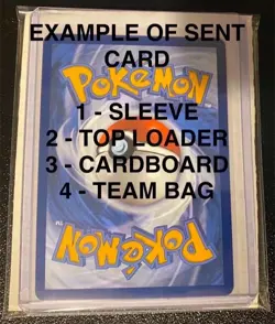 Eevee GX SM233 Pokemon TCG Sun and Moon Black Star Promo - Image 3