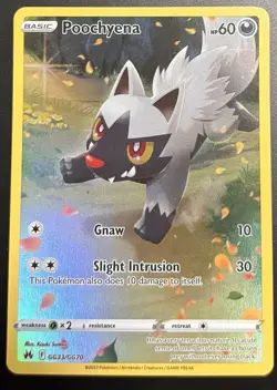 Pokemon Poochyena GG33/GG70 Ultra Rare Crown Zenith Galarian Gallery Full Art NM - Image 1
