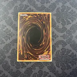 Yu-Gi-Oh! TCG Stray Lambs 1st Edition Spell Card YuGiOh SS02-ENB12 - Image 2