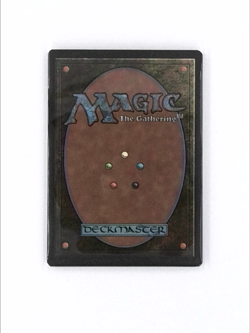 Commander Land Bundle Set EDH Deck Staples Lot MTG Mana Kit Magic The Gathering - Image 3