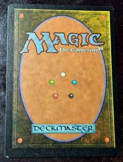 City of Solitude x1 NM Visions Green Enchantment RL MTG + Fast Shipping! - Image 2