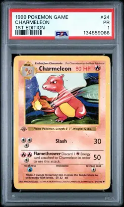 PSA 1 Charmeleon 1st Edition Shadowless Base Set 24/102 1999 Pokemon WoTC PR - Image 1