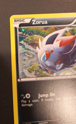 Zorua BW12 - Black and White Promos - Holo Promo - Pokemon TCG - LP - Image 4