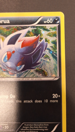 Zorua BW12 - Black and White Promos - Holo Promo - Pokemon TCG - LP - Image 5