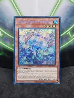 Yugioh Mulcharmy Purulia INFO-EN027 Secret Rare 1st Edition NM - Image 1
