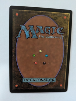 Thawing Glaciers Alliances MTG NM Free shipping with tracking - Image 2