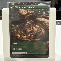MTG *Darkbore Pathway Borderless X1* (NM) Kaldheim Magic The Gathering - Image 2
