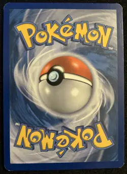 LP - Zekrom BW005 Holo - Black & White Black Star Promo - Pokemon TCG - Image 2