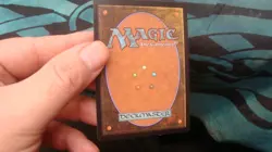 Life's Finale MTG - Image 2