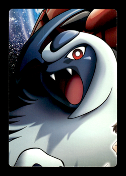 Absol Adventure Card 024 Japanese Pokemon Card ~ MP - Image 2