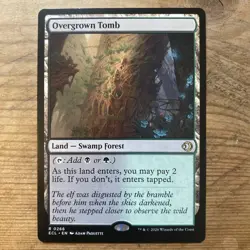 Overgrown Tomb | Regular | Lorwyn Eclipsed (MTG) NM - Image 1
