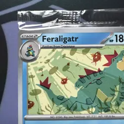 Pokemon Center 2024 Illustration Contest Sealed Feraligatr 213 Pikachu 214 215 - Image 2
