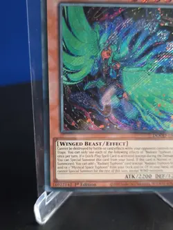 Yugioh Radiant Typhoon Krosea DOOD-EN015 Secret Rare 1st Edition NM - Image 3