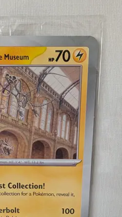 Pokemon x Natural History Museum Promo - Pikachu At The Museum JUMBO card - Image 5