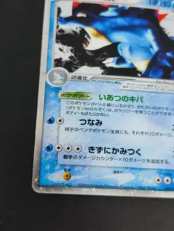 Pokemon Card Feraligatr ex 003/016 Japanese 024/070 L1 set lot eb157 - Image 5