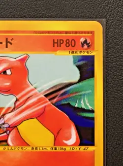 Charmeleon Web Pokemon Card Japanese 007/048 Vrey RareJapan Vintage Nintendo - Image 5