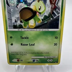 Pokemon TCG Turtwig 17/17 Holo Pop Series 6 Excellent Condition - Image 4