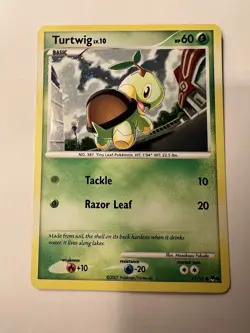 Pokemon TCG Turtwig 17/17 Holo Pop Series 6 Excellent Condition - Image 1