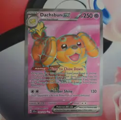 Pokemon TCG - Dachsbun ex 160/142 - Stellar Crown - Holo Ultra Rare Card - Image 2