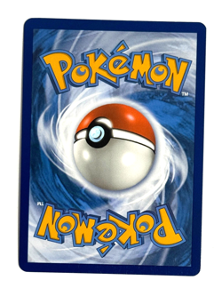 Pokemon TCG Squawkabilly EX 264/193 Special Illustration Rare Paldea Evolved - Image 2
