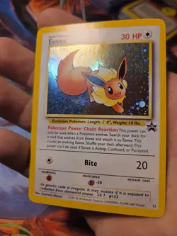 Pokemon - Eevee 11/53 - Wotc - Black Star Promo Holo VLP WOW LOOK - Image 3