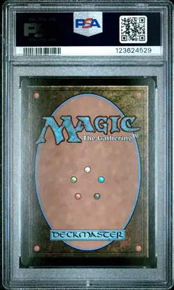 4529 Hero of Light 2025 MTG Final Fantasy FCA #0001 Foil PSA 10 - Image 2