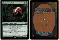 BADGERMOLE CUB 167 AVATAR: THE LAST AIRBENDER MYTHIC 2025 LP - Image 1