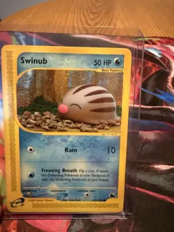 Swinub 107/144 Skyridge Non-Holo E-Series Pokemon TCG Card NM - Image 1