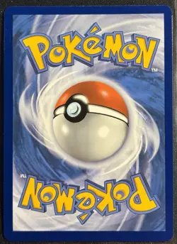 Lileep 145/142 - Stellar Crown Illustration Rare Pokemon TCG 2024 Holo - NM Card - Image 2
