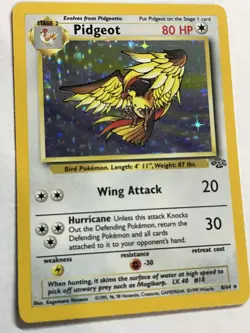 Pidgeot Pokemon TCG Jungle Set Unlimited 8/64 Rare Holo 1999 WOTC - Image 2