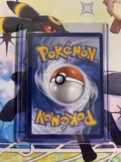 Charizard ex 196 Sv: Scarlet & Violet Promo Cards Holo - Image 2