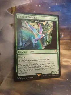 Birds of Paradise Commander: the Lord of the Rings: Tales of Middle-Earth - Image 1