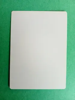 MTG Magic Master Decoy Signed Artist Proof x1 Tempest Phil Foglio - Image 2