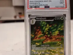 ACE 10 Sawsbuck Illustration Rare 092/086 White Flare Pokemon tCG - Image 4
