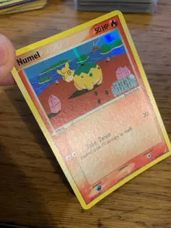 NM! Numel (59/100) EX Crystal Guardians Stamped Reverse Holo Pokemon Card! - Image 3
