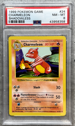 Pokemon Card Shadowless Charmeleon PSA 8 NM-Mint, Base Set #24, WOTC 1999 - Image 1